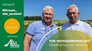 МАЙБУТНЄ за новим гібридом ХАЙСАН 310 СУ | проєкт #БІЛЬШЕ_НІЖ_ВРОЖАЙ | 4 серія, частина 1/3