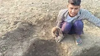 Dog chellange In Underground Scrite Hole || [पिल्लो के साथ किया चैलेंज] #target1ksubscriber #shorts