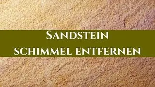 Algen, Schimmel und Moose von Sandstein reinigen in Hamburg