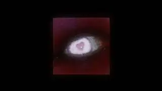love potions - bj lips feat. princess paparazzi  {𝔰𝔩𝔬𝔴𝔢𝔡 𝔵 𝔯𝔢𝔳𝔢𝔯𝔟}