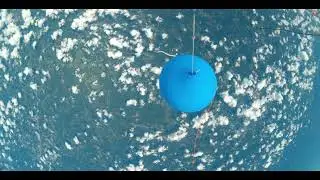 Balloon Launch of West Georgia Amateur Radio Society. (WGARS)7-10-21.