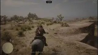 Red Dead Redemption 2 Online Homesteader Valuables