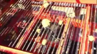 Carlotti G&C - Potatoes harvester GREEN.wmv