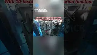 Bestar pack Granules quad bag packaging machine with 10 heads weigher and inflation function~