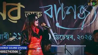 Ayna Mon Bhanga Ayna  | Voice Queen | Stage Program | Bangla Song
