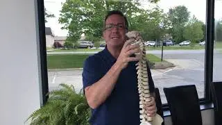 Burlington chiropractor on neck pain