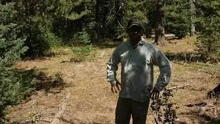 Measuring Your Pace: Estimate distance traveled