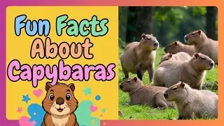 Fun Facts About Capybaras 🦫 | The Friendliest Animal | Happy Rainbow Zoo