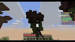 BEING AN IDIOT IN MINEPLEX!!!