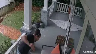 Rat Attack!!