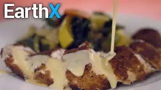 Trying Rendezvous's Chicken Cordon Bleu | Bike to Bites | EarthX