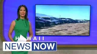 18,000 rental cars are sitting idle at Kahului&rsquo;s airport &mdash; a dramatic sign of Maui&rsquo;s tourism slum...