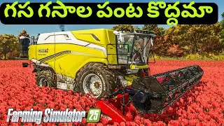 Farming Simulator 25 Buying Goats & Sheeps Harvesting Poppy Crop gasagasalu By Telugu Kvbr Gaming