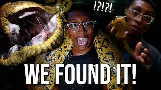 I FOUND THE KING OF THE AMAZON WHILE LOOKING FOR ANACONDAS!!