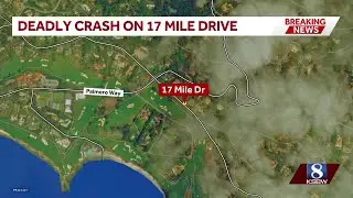One dead after crash on 17 Mile Drive