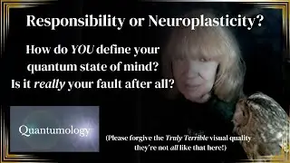 Responsibility or Neuroplasticity - a quantum state of mind?
