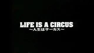 THE COLTS LIFE IS A CIRCUS