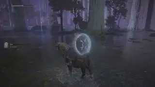 Multiplayer Item: Furlcalling Finger Remedy, Siofra River Bank | Elden Ring (PS5)