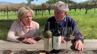 Shari and Garen chat 2020