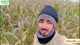 بھینسوں کے لئے ہم نے لیے چارہ اگے دیکھیں🫵#minivlog #vlog #trending #song #shorts #funny #reels #vira