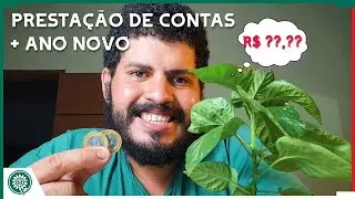 Pior LUCRO com plantas do ano - Dezembro/2025?