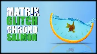 2 True Anomaly Stories - Time Travelling Salmon