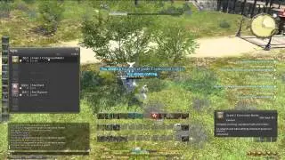 Leveling Botany 27 to 30 La Noscea - 3 Node Farm No HQs