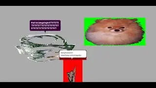 SAEG's MsAgent Randomness #13