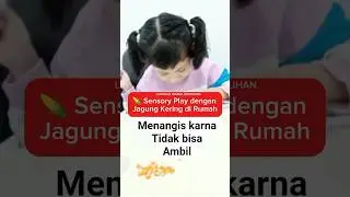 Sensori play dengan jagung kering #latihanmenyentuh #sensoriplay #terapiokupasi #motorikhaluskasar #