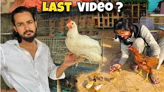 Last Video On YouTube?💔 Hulk And Choozlee