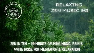 Zen in Ten🌴 Rainforest | 🌧️ 10 Minutes of Calm| Meditation | Music for Relaxation & 😌 Anxiety Reset