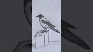 Crow drawing easy, #shorts, #pencilsketch, #drawing, #artcraft, #mrinert.