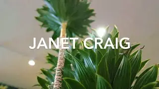 The Best Plant for Tight Spaces