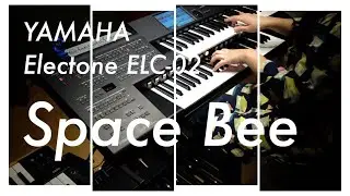 Space Bee 中村幸代 / エレクトーン ELC-02 演奏