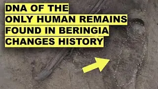 DNA From Ancient Alaskans FINALLY Reveals How First Americans Really Crossed Into America