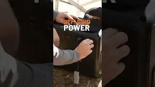 All You Need For SIMPLE Camping!