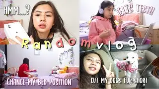 RANDOM VLOG