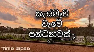 Kesbewa Lake | Cinematic Video | Time Lapse