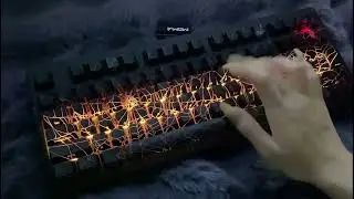 Cobweb clash, keyboard crush 