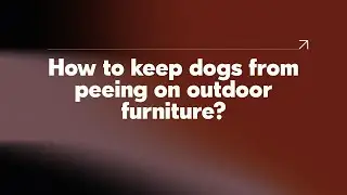 How to keep dogs from peeing on outdoor furniture?