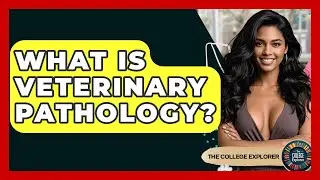 What Is Veterinary Pathology? - The College Explorer