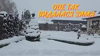 Сніжний апокаліпсис чи зимова казка? Сад на Волині у січні 2026 ❄️