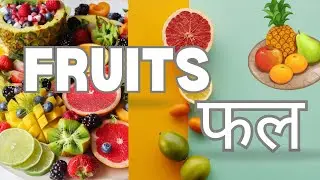 Fruits फल  | 22  Fruits name in English | Fruit names | Learn Fruits | Prime education  | Learn