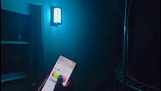 Smart RGBCW Outdoor Wall Lights WIFI and Alexa