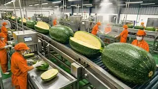 How Factories Turn Tons of Zucchini into Puree Every Day (Full Process)