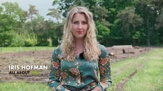 Get to know All About Feed!