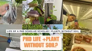 A day in a life of PhD scholar 🌱| what is plant tissue culture ? 
