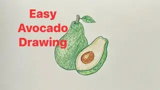 How to draw avocado | Step by step full tutorial #TheGreatideals1111