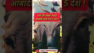 Country with the largest population of donkeys #edutainment #donkey #population #pakistan #china