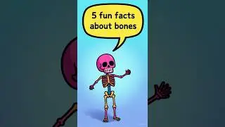 ✨ 5 Fun Facts About Bones for Kids | Learn About the Human Body!